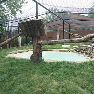 Snow Leopard Exhibit