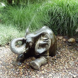 Elephant Water Fountain
