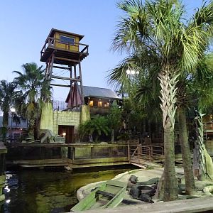 American Alligator Enclosure at Gator Golf - 28/08/2014