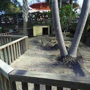 Tortoise Enclosure at Gator Golf - 28/08/2014