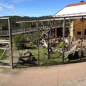 The Wetland - Aviary for Northern blad ibis and European roller