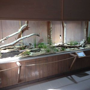 The Wetland - Building