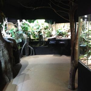 The Wetland - Building