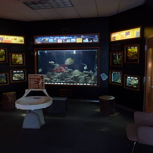 Discovery Center
