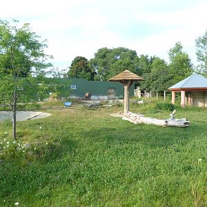 Land of the Giants - Black Rhino Exhibit