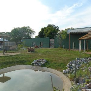 Land of the Giants - Dromedary Exhibit