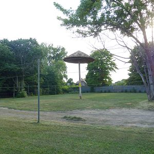 Land of the Giants - Masai Giraffe Exhibit