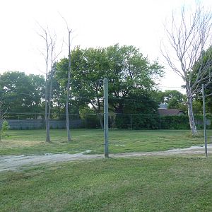 Land of the Giants - Masai Giraffe Exhibit