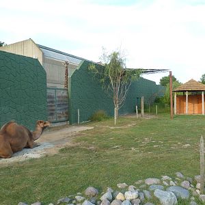 Land of the Giants - Dromedary Exhibit (see the giraffe?)