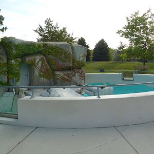 African Penguin Exhibit (drained of water)