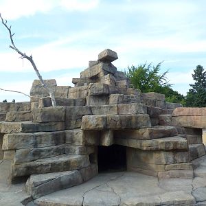 West Caucasian Tur Exhibit