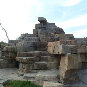 West Caucasian Tur Exhibit