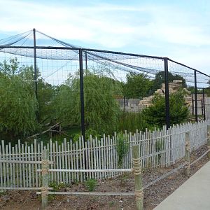 Lesser Adjutant Stork /Western Tufted Deer Exhibit - Outstanding!