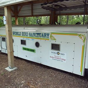 Zoo Train (for show only)