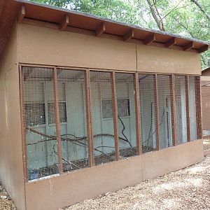 Augur Buzzard Aviary
