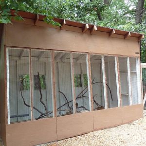Short-Eared Owl Aviary
