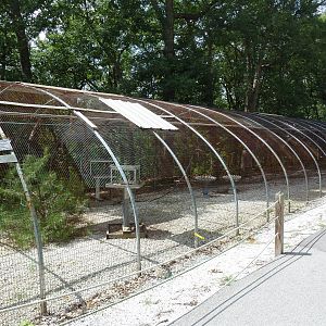 Thick-Billed Parrot Aviary