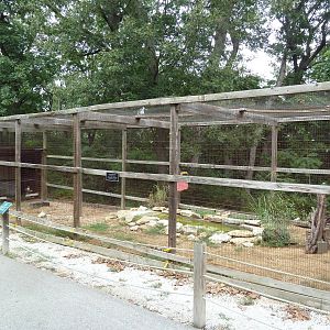 Osprey Aviary