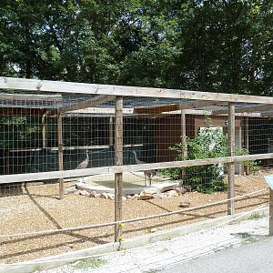Sandhill Crane Aviary