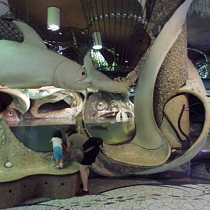 City Museum - Decorative Fish Tanks