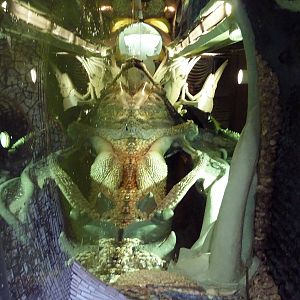 City Museum - Tunnel of Mirrors
