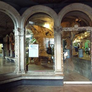 Aquarium Entrance - Reflective Mirrors