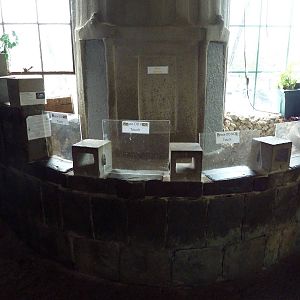 Domestic Rabbit Castle