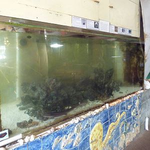 Extremely Dirty Tank