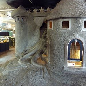 Sculptures + Guinea Pig Exhibit