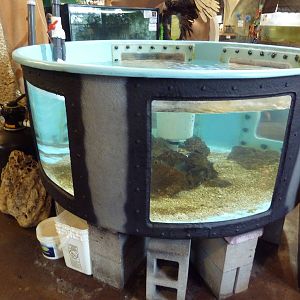 Fish Tank + Junk