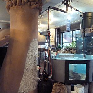 Random Objects + Tanks