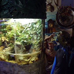 Terrarium + Two-Headed Monster