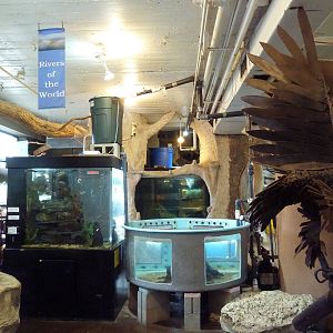 Random Tanks + Objects + Junk