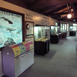 Reptile House (interior)