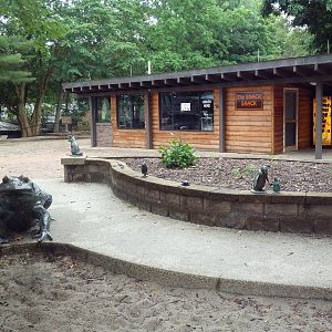 Animal Statues + Cafe