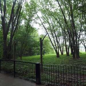 Multi-Acre Grey Wolf Exhibit