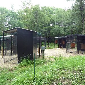 Bird of Prey Aviaries