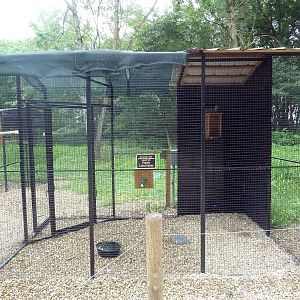 Bird of Prey Aviary