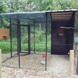 Bird of Prey Aviary