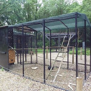 Bird of Prey Aviary