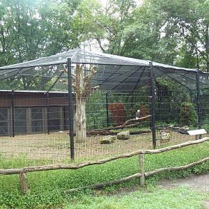 Bird of Prey Aviary - Bald Eagle