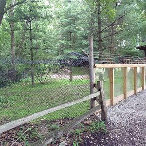 North American River Otter Exhibit (currently empty)