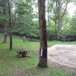 North American River Otter Exhibit (currently empty)