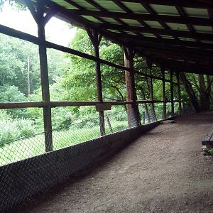 Sandhill Crane Exhibit