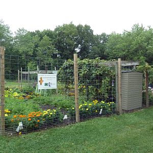 Farmyard - Flower Garden