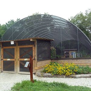 Walk-Through Butterfly Conservatory