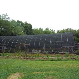 Walk-Through Butterfly Conservatory