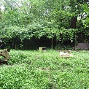 American Badger Exhibit