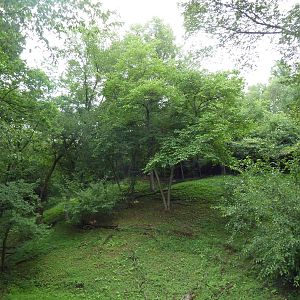 Multi-Acre Cougar Exhibit - see the 2 cats?