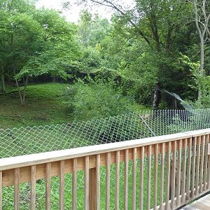 Multi-Acre Cougar Exhibit - see the 2 cats?